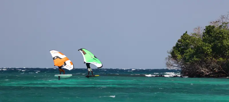 Wing foil & windsurf